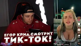 ЕГОР КРИД СНОВА СМОТРИТ ТИКТОК ЛЕНТУ! ***ЗАЛИПАТЕЛЬНО****