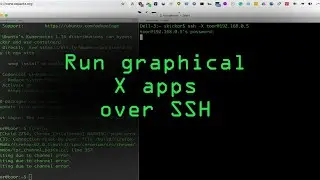 Run Graphical X Applications Over SSH [Tutorial]