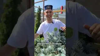 Ничего не предвещало беды 🤯😰продолжение в тг Ильнариус Татариус #казань #треш #шок #непостанова