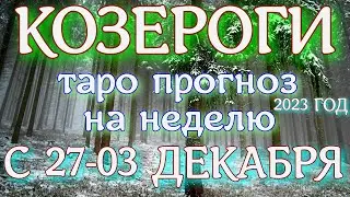 ГОРОСКОП КОЗЕРОГИ НА НЕДЕЛЮ С 27 НОЯБРЯ ПО 03 ДЕКАБРЯ ПРОГНОЗ. 2023 ГОД