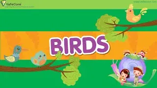 Learn Birds Name for Kids Basic Learning with Vaflecone Pre School Junior | Birds Song