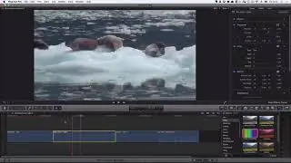 Final Cut Pro X 10.3 - Маски по цвету