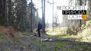 Дикой пчеле всё равно...