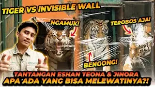 INVISIBLE WALL FOR TIGER CHALLENGE ! HARIMAU TAKUT SAMA PLASTIK ?!