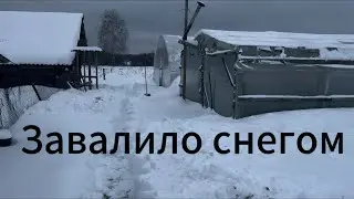 В теплице тепло и сухо ,растет петрушка ,салат и лук . Завалило снегом теплицы .