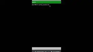 Fortigate command line explained
