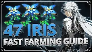 Iris 47 Locations FAST FARMING GUIDE | Wuthering Waves 1.0