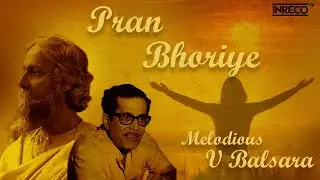 Melodious V Balsara | Shades Of Tagore Melodies | Instrumental Tagore Songs | Audio Jukebox