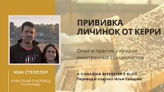 Как Керри делает прививку личинок и работает с маточниками (Иан Степплер, Канада)