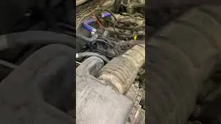 Номер ДВС 491QE