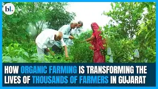How organic farming is transforming the lives of thousands of farmers in Gujarat