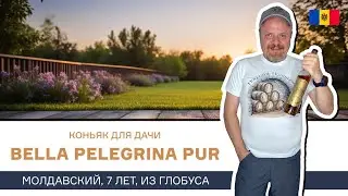 Семилетний коньяк (дивин) из Молдавии Bella Pelegrina Pur. Недорогой коньяк из Глобуса