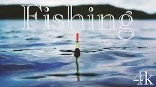 Saw This Video Immediately Wanted to go Fishing