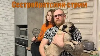 Сестробратский стрим 2