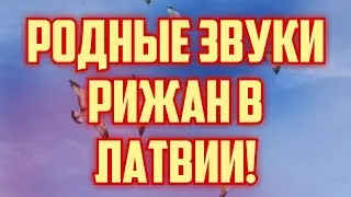 РОДНЫЕ ЗВУКИ РИЖАН В ЛАТВИИ! | КРИМИНАЛЬНАЯ ЛАТВИЯ