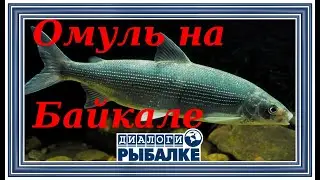 Диалоги о рыбалке - 090 / Байкал