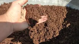 Не могу молчать, качество Витебского питательного торфа.