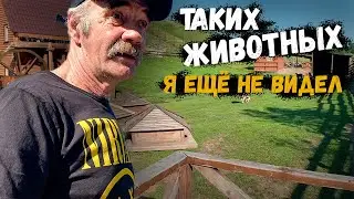 У НАС ТАКОГО НЕТУ 😱 // ПОЕЗДКА В ЗАПОВЕДНИК