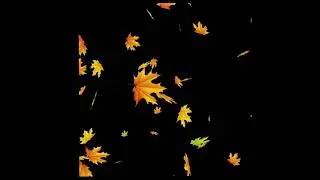 Green screen | Autumn leaves fall | Video background | Animation | Footage | Download | №185