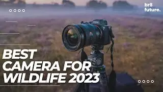 Best Camera for Wildlife Photography 2023 - Top 5 Best Camera for Wildlife