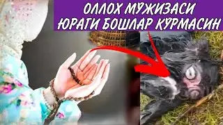 ОЛЛОХ МУ́ЖИЗАСИ КАЗАХИСТОНДА БУ́ЛГАН ХОДИСА