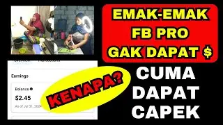 Kenapa Emak-Emak sulit Dapat Dollar dari FB Pro