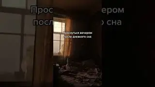 Моменты Когда Жизнь Ощущается По-Другому 