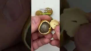 Это съедобно? Попробуем...