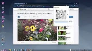 Create Web Page Link QR Codes In Google Chrome
