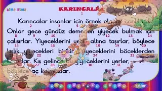 1.Sınıf Dakika Tutarak Okuma Metni -8 / Karıncalar / C Sesi Hızlı Okuma / 34 Kelime //