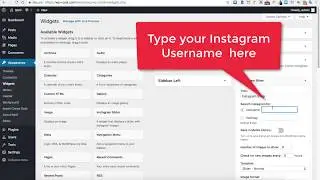 How to Install & Use WP Instagram Slider Widget For ASHE PRO & BARD Free Wordpress Themes