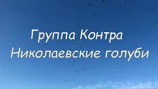 Контра - Николаевские голуби