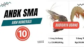 Pembahasan ANBK SMA: AKM Numerasi Part 10 | Budidaya Udang