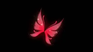 Neon red butterfly black screen effect, No copyright - free video, NP Creative