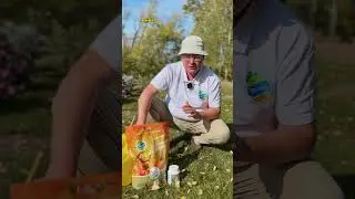 Секретный способ внесения удобрений ✨ 