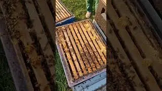 Дали прикурить)))
