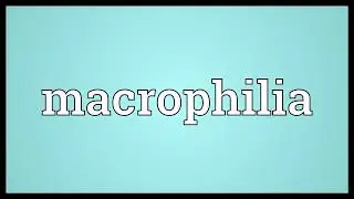Macrophilia Meaning