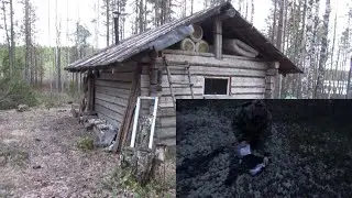 ОХОТА НА ГЛУХАРЯ НА ТОКУ 2022