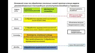 Клещ варроа пояснения и что продают в магазине