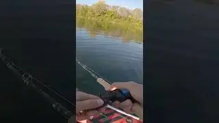 РЯЗАНСКАЯ МОНСТР ЩУКА КЛЮНУЛА на МЫШЬ!