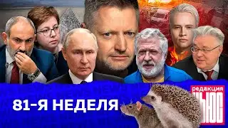 Редакция. News: 81-я неделя