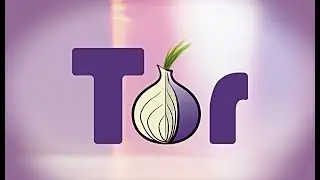 Tor Browser: Install & Setup (100% works)