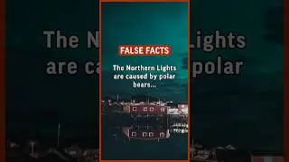 The Northern Lights are closed by polar bears engaging in disco dancing competitions. #false #funny