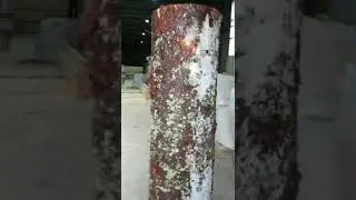 Резьба бензопилой , мишка .
