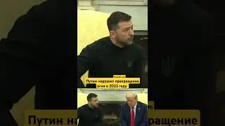 Владимир Зеленский рассказал Дональду Трампу о разговорах с Владимиром Путиным