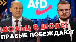 Шольц В ПАНИКЕ: пророссийские партии готовят переворот?! - ПЕЧИЙ