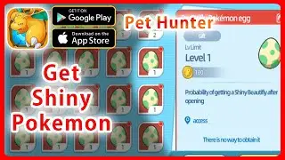 Elf Explorer(Pet Hunter) - Open 50 eggs to get shiny and the disappointing ending