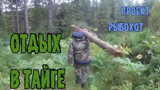 Отдых в Сибирской Тайге(Усть-Бюр, Республика Хакасия)