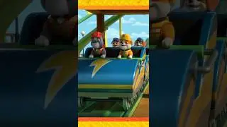 Rubble rides a roller coaster! #shorts