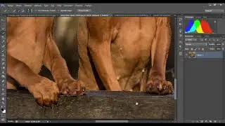 Photoshopta çerçeve, katman, maske çalışması